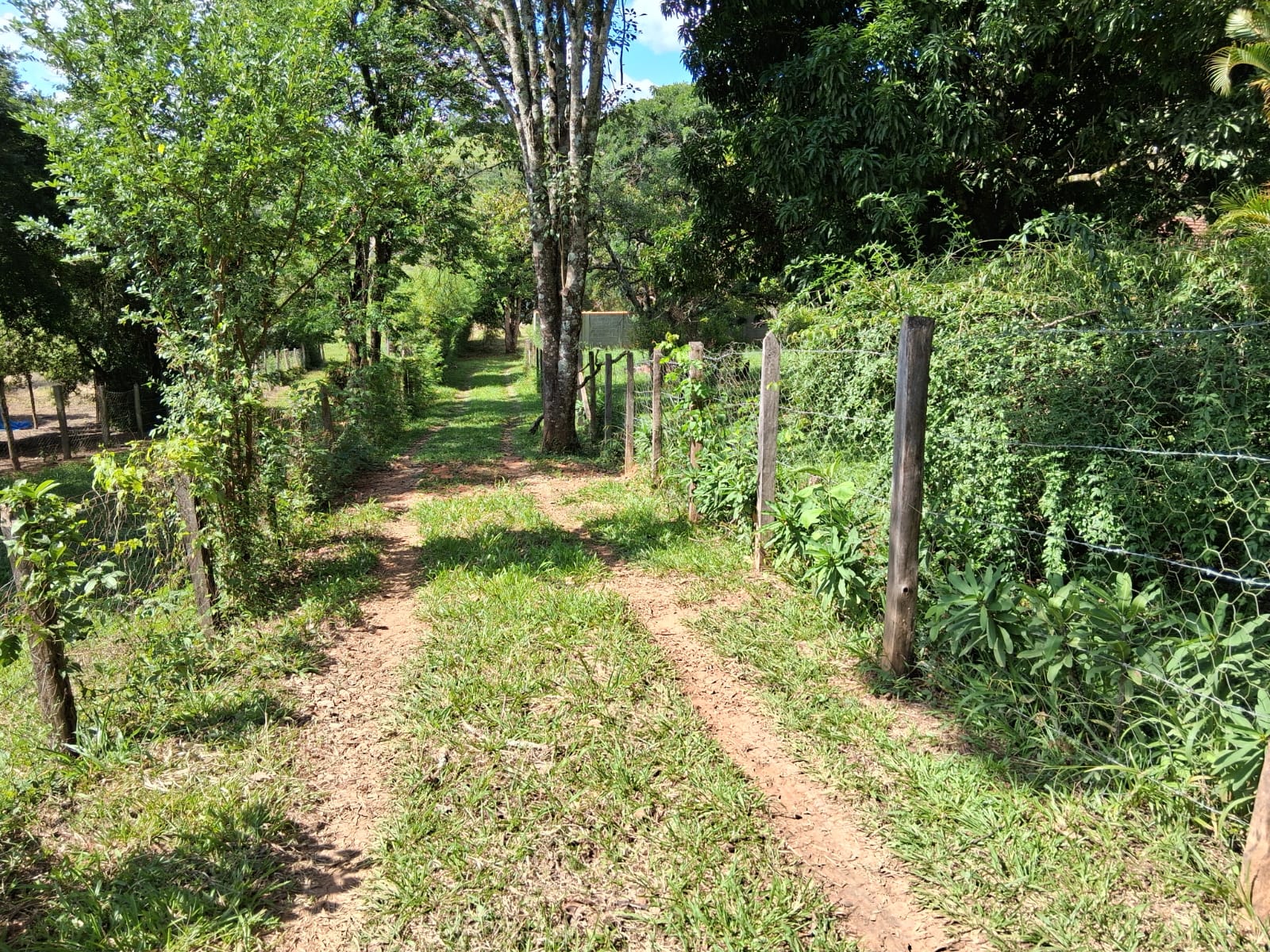 Rural / Chácara no Itajuba — foto 23