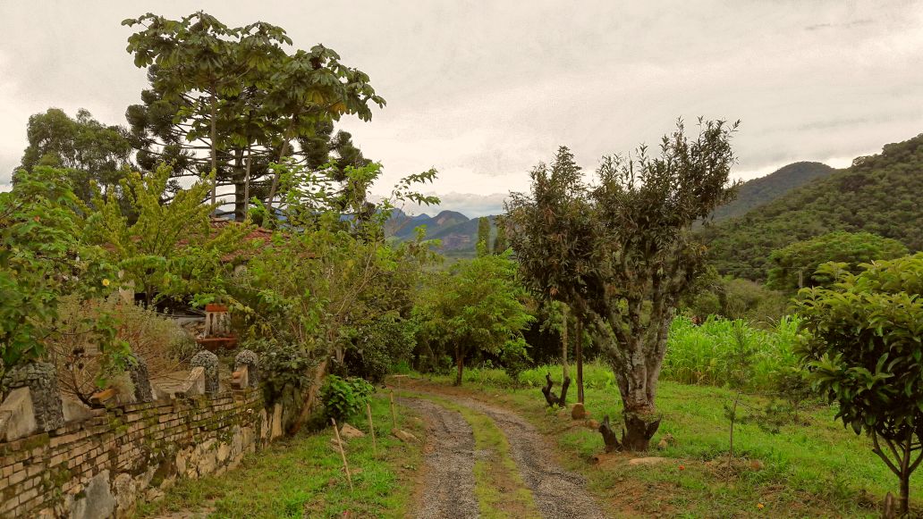 Rural / Chácara no TRIGAL — foto 2