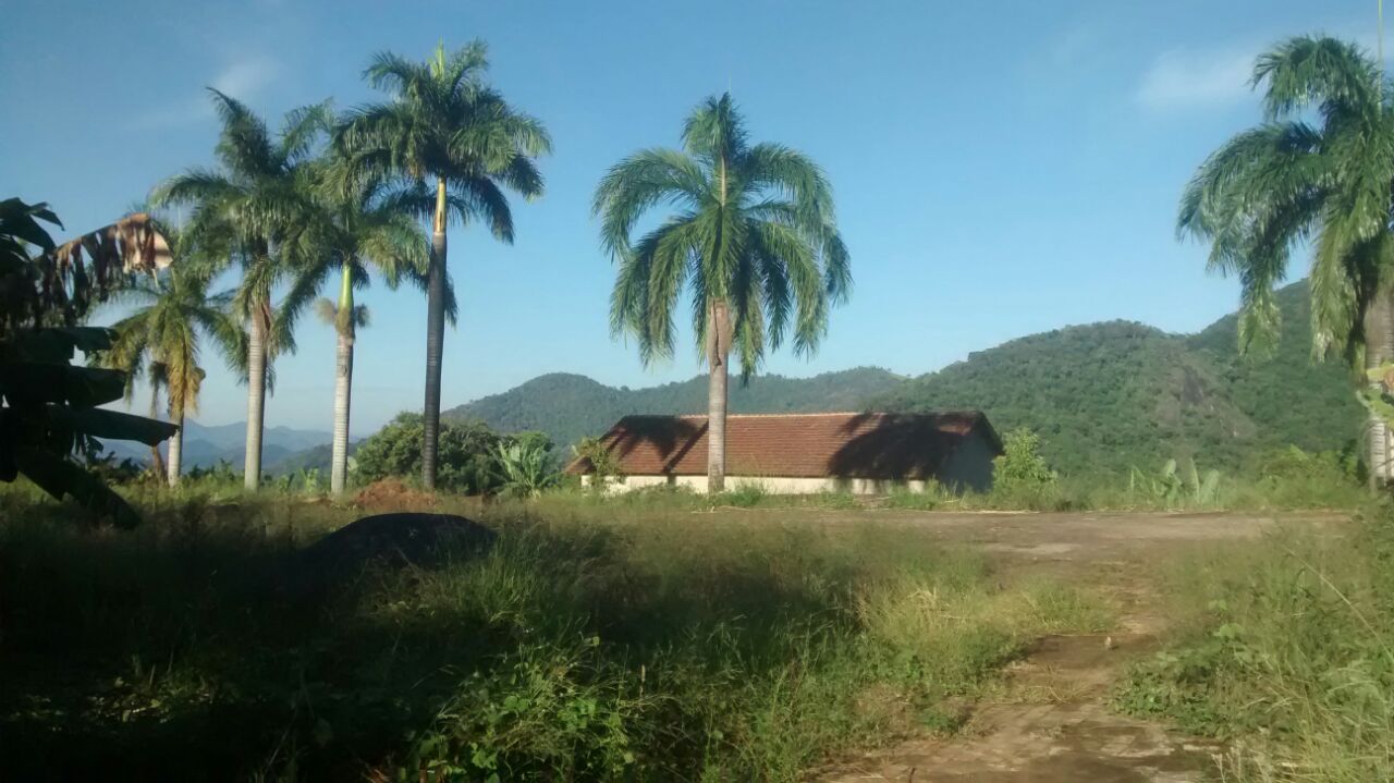 Rural / Chácara no TRIGAL — foto 3