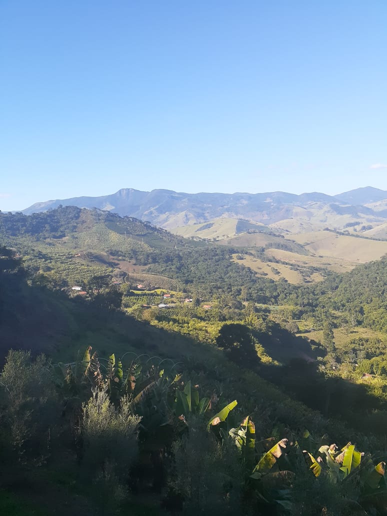 Rural / Chácara no TRIGAL — foto 24