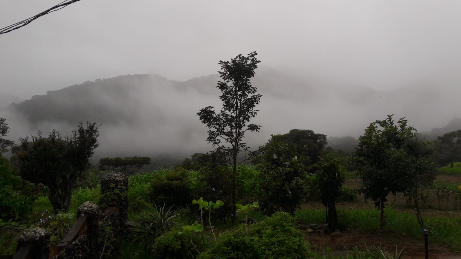 Rural / Chácara no TRIGAL — foto 28