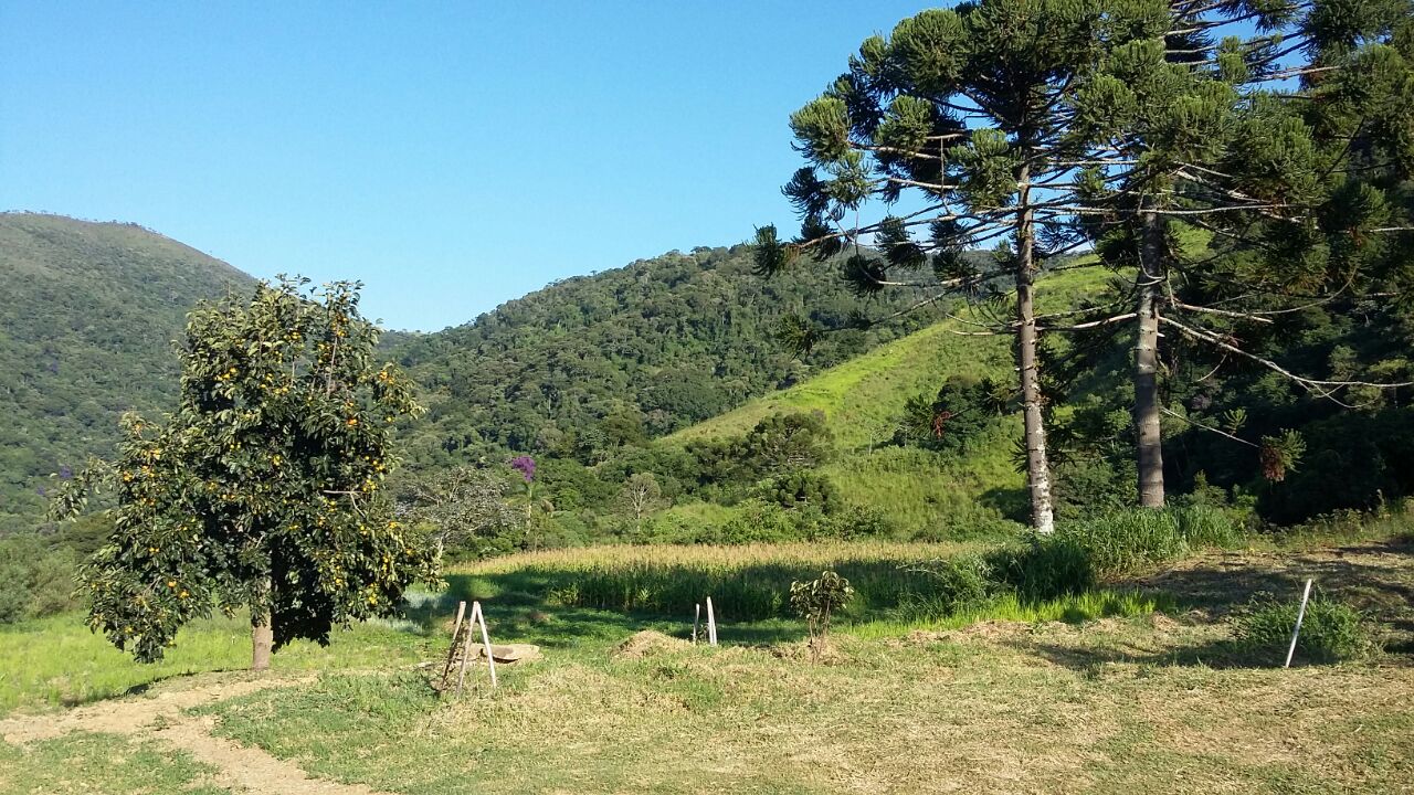 Rural / Chácara no TRIGAL — foto 30