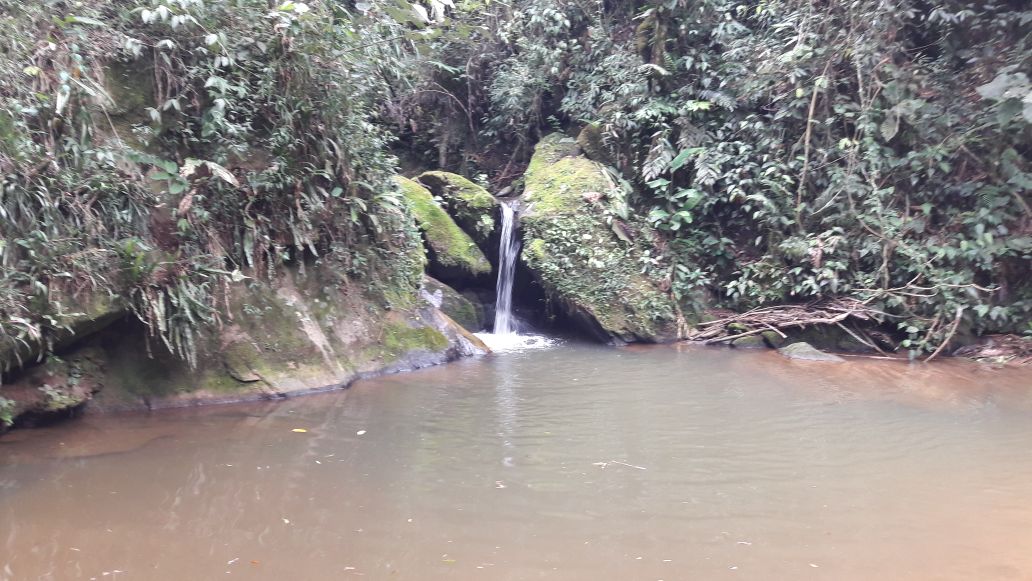 Rural / Chácara no TRIGAL — foto 39