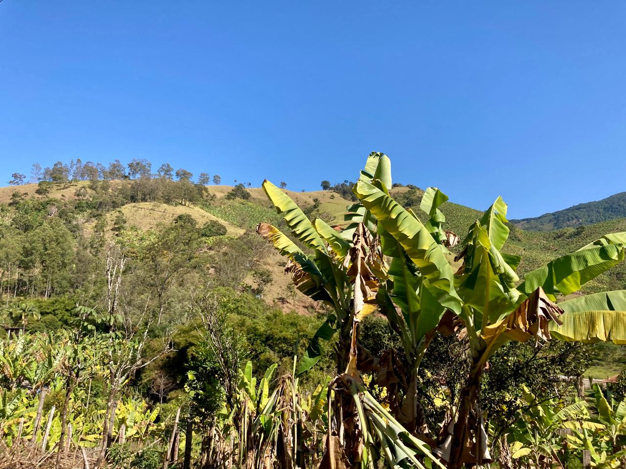 Rural / Chácara no Itajuba — foto 8