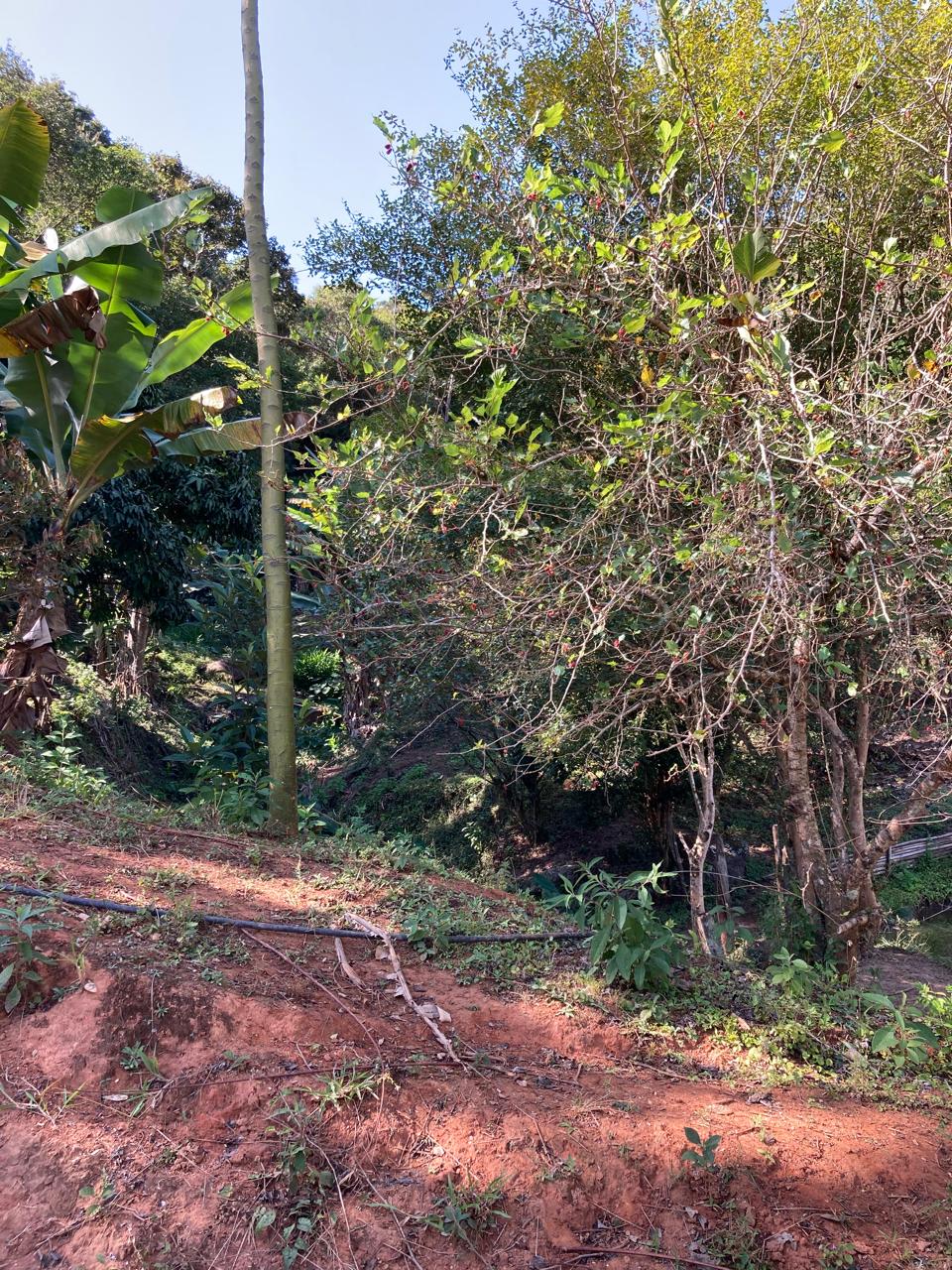 Rural / Chácara no Itajuba — foto 9