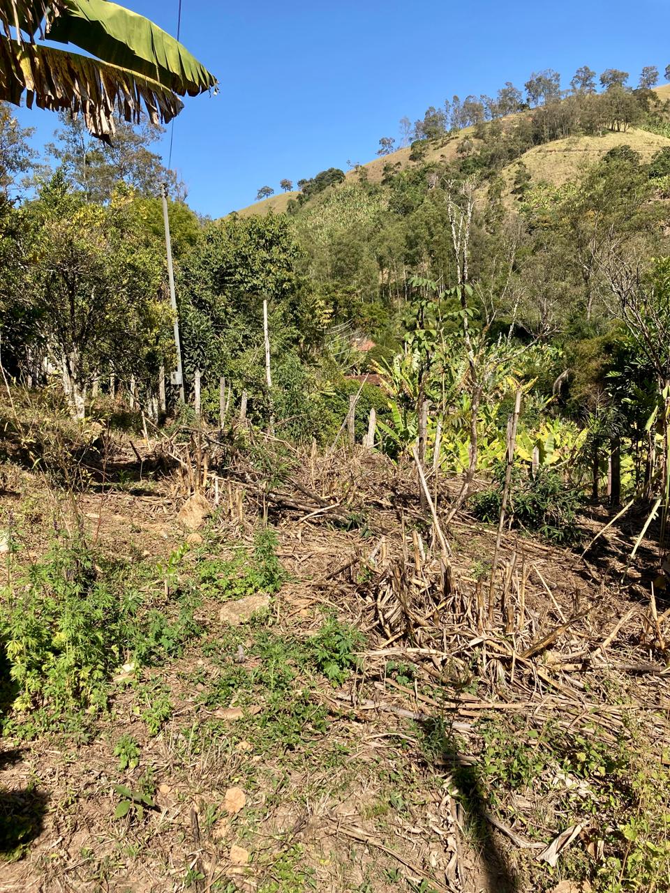 Rural / Chácara no Itajuba — foto 11