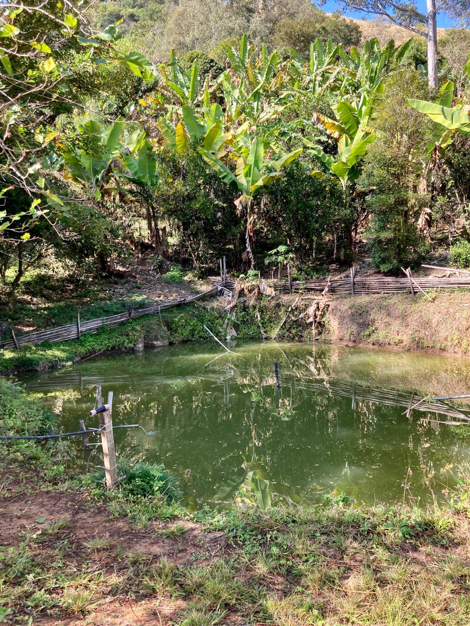 Rural / Chácara no Itajuba — foto 14