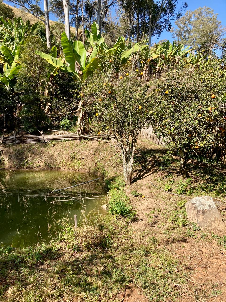 Rural / Chácara no Itajuba — foto 15